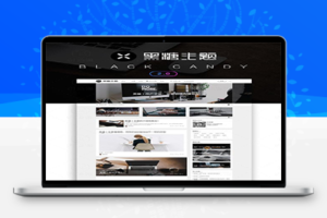 WordPress黑糖主题BlackCandy V1.53 自媒体和创意工作者博客主题模板_源码下载