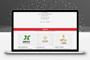 织梦html5响应式手机自适应品牌设计类公司网站织梦模板