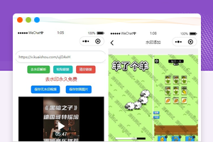 短视频去水印公众号源码附带图片加水印功能 微信小程序源码