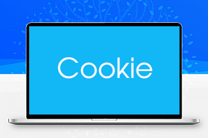 浏览器查询阿里云盘的Cookie简单方法