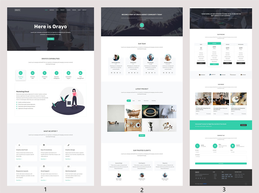 Orayo响应式的官网主页着陆页html模板